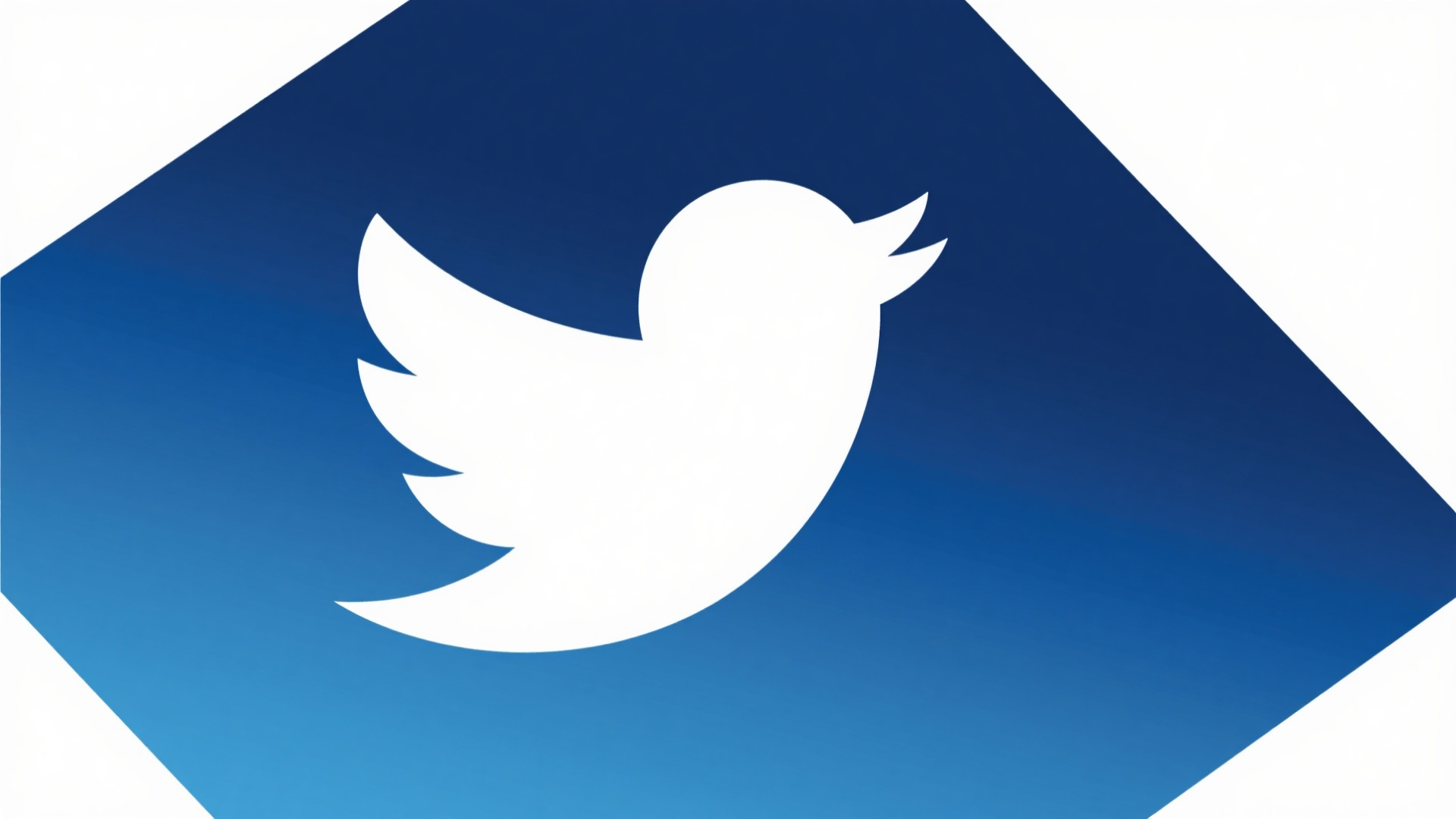 推特/X清粉终极指南：快速识别与安全移除僵尸粉